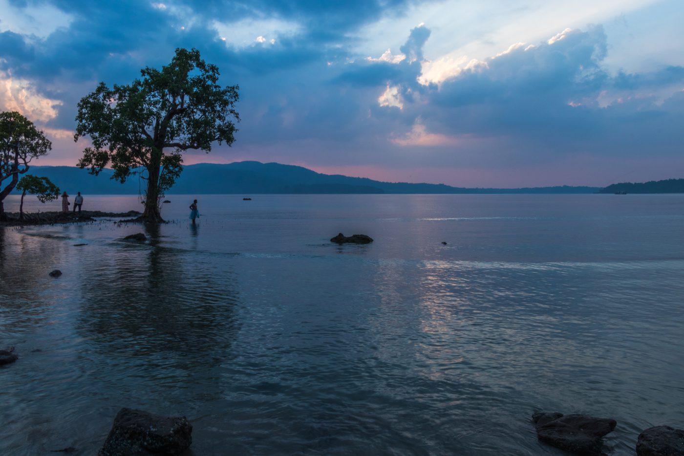 Tree in a Lake